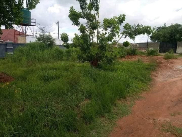 30m-by-20m-plot-for-sale-in-foxdale-big-5