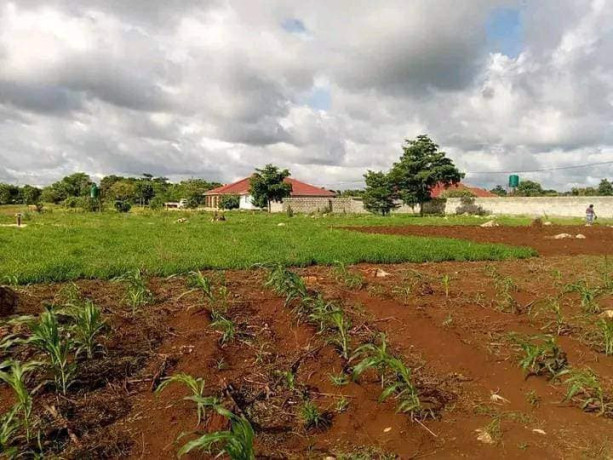 50m-by-50m-plot-for-sale-in-new-kasama-big-2