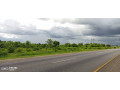 1-hectare-land-for-sale-along-mumbwa-road-small-0