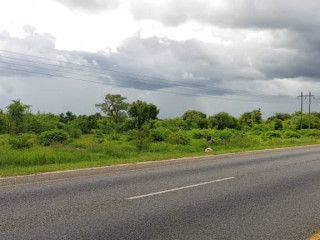 1-hectare-land-for-sale-along-mumbwa-road