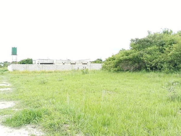 residential-plots-for-sale-in-silverest-big-2