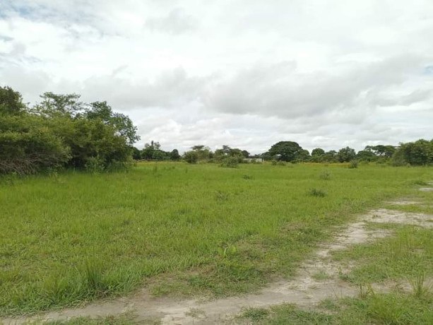 residential-plots-for-sale-in-silverest-big-1
