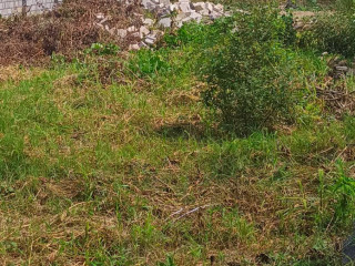 40m-by-35m-plot-for-sale-in-lilayi