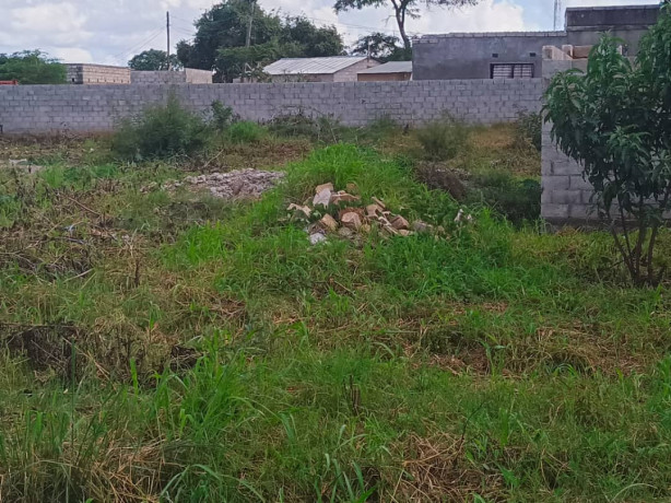 40m-by-35m-plot-for-sale-in-lilayi-big-3