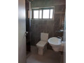 4-bedroom-flat-for-rent-in-ibex-small-6