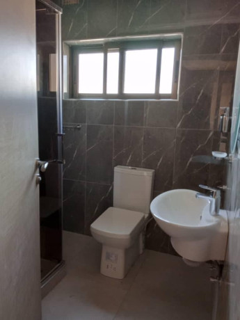 4-bedroom-flat-for-rent-in-ibex-big-6