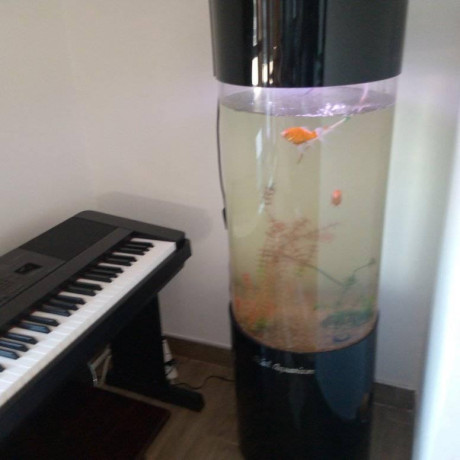 2-bedroom-apartment-for-rent-in-new-kasama-big-8