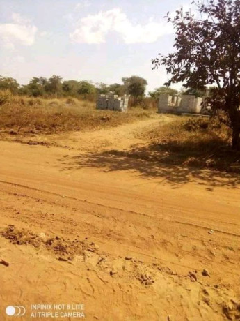 20m-by-20m-plot-for-sale-in-shantumbu-big-1