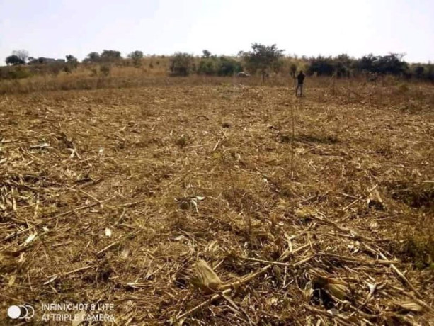 20m-by-20m-plot-for-sale-in-shantumbu-big-0