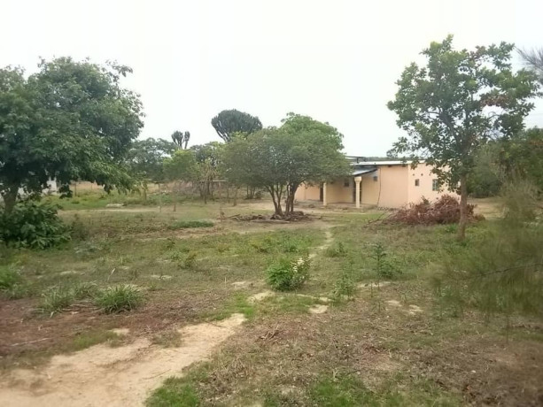 26-acres-farm-for-sale-big-7