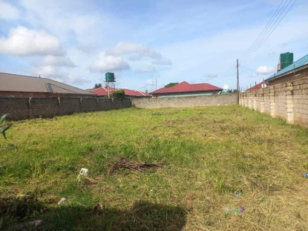 40m-by-20m-plot-for-sale-in-salama-park-big-1