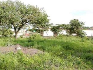 plot-for-sale-in-ibex-hill