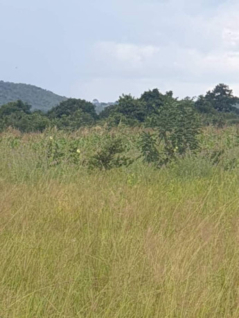 4-hectares-land-for-sale-in-shimabala-big-3