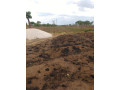 20m-by-20m-plot-for-sale-in-kalundu-villa-small-3