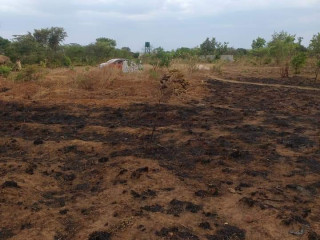 20m-by-20m-plot-for-sale-in-kalundu-villa