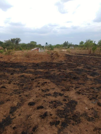 20m-by-20m-plot-for-sale-in-kalundu-villa-big-0