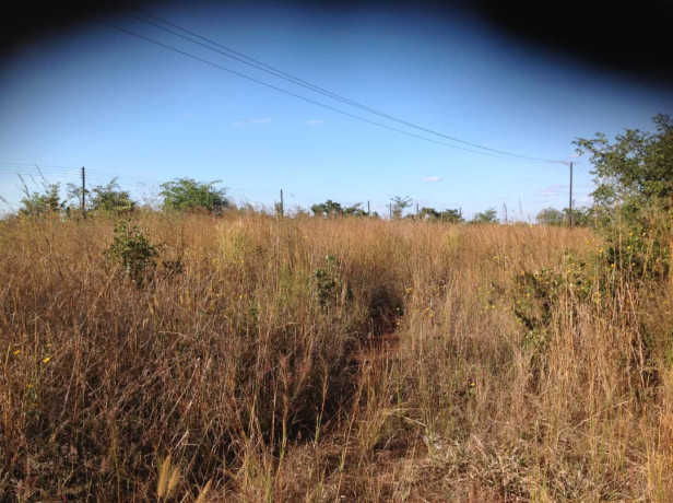 36m-by-40m-plot-for-sale-in-lilayi-big-2