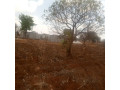 1-acre-plot-for-sale-in-new-kasama-small-0