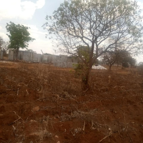 1-acre-plot-for-sale-in-new-kasama-big-7