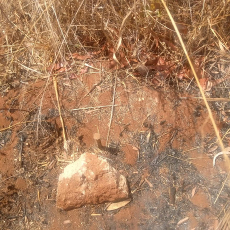 1-acre-plot-for-sale-in-new-kasama-big-2