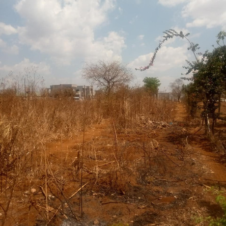 1-acre-plot-for-sale-in-new-kasama-big-4