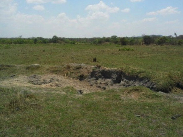 farm-land-for-sale-big-0