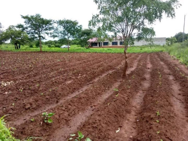 40m-by-50m-plot-for-sale-in-lilayi-estates-big-1