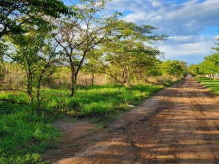 plots-for-sale-in-new-kasama