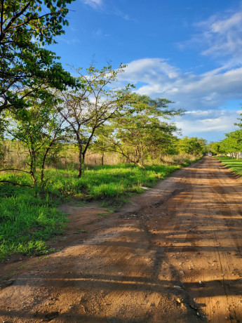 plots-for-sale-in-new-kasama-big-0