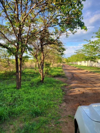 plots-for-sale-in-new-kasama-big-1