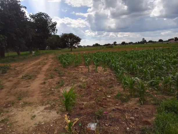 15-acres-land-for-sale-in-makeni-bonaventure-big-2