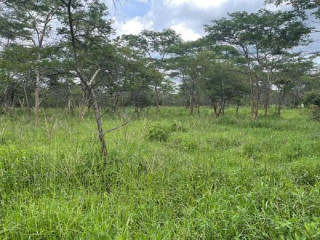 1-acre-land-for-sale-in-new-kasama