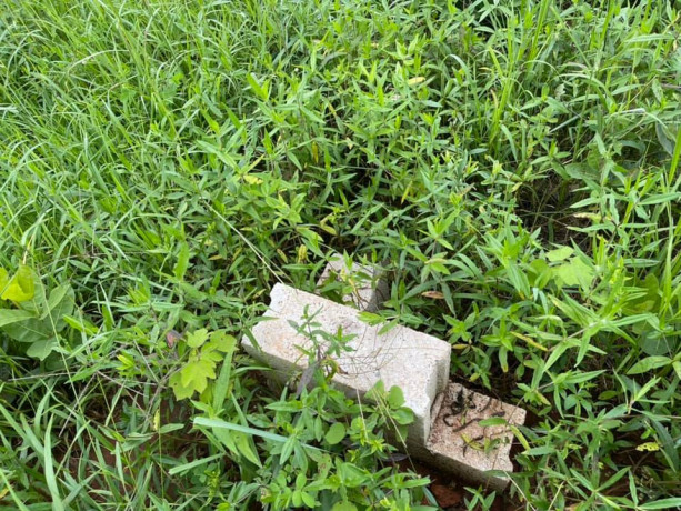 1-acre-land-for-sale-in-new-kasama-big-1