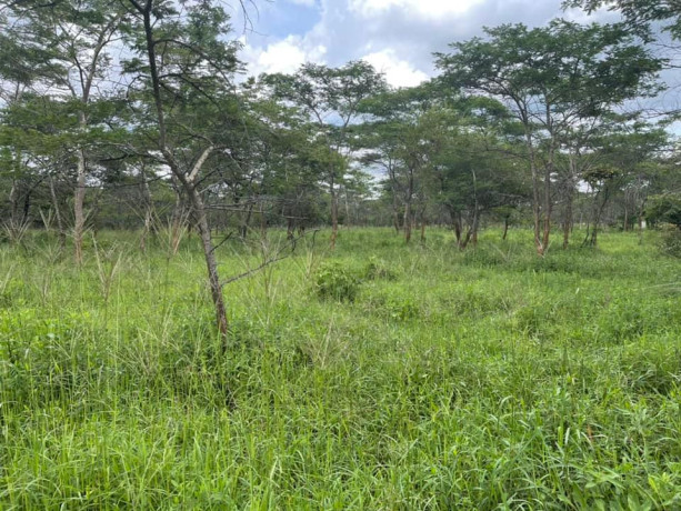1-acre-land-for-sale-in-new-kasama-big-3