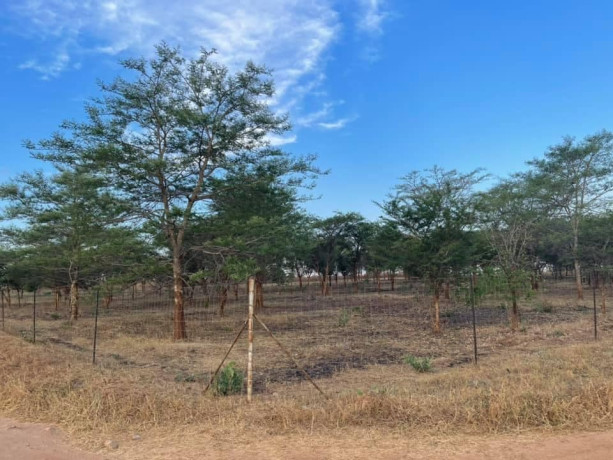 5-acres-land-for-sale-in-lilayi-big-0