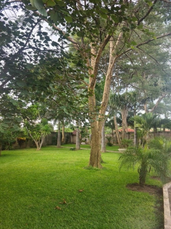 4-bedroom-house-for-rent-in-roma-big-5