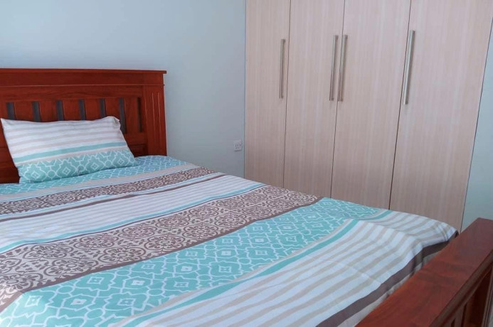 3-bedroom-apartment-for-rent-in-new-kasama-big-8