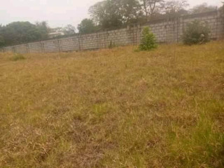 plot-for-sale-in-new-kasama