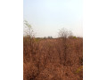 5-acres-plot-for-sale-in-lusaka-west-small-1
