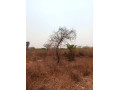 5-acres-plot-for-sale-in-lusaka-west-small-0
