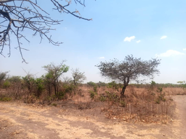 5-acres-plot-for-sale-in-lusaka-west-big-5