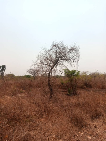 5-acres-plot-for-sale-in-lusaka-west-big-0