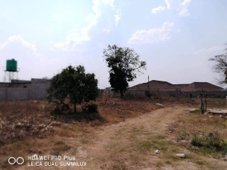 plot-for-sale-in-silverest