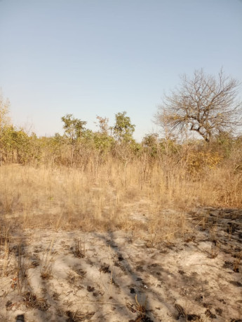 plot-for-sale-in-chaminuka-big-3