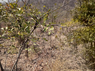 25-by-25-plot-for-sale-in-mikango