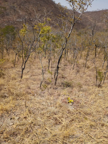 25-by-25-plot-for-sale-in-mikango-big-1