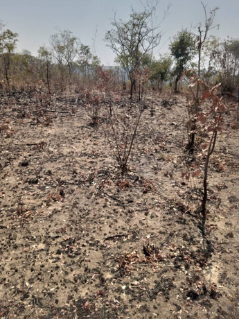 25-by-25-plot-for-sale-in-mikango-big-2