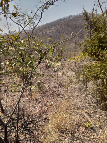 25-by-25-plot-for-sale-in-mikango-big-0