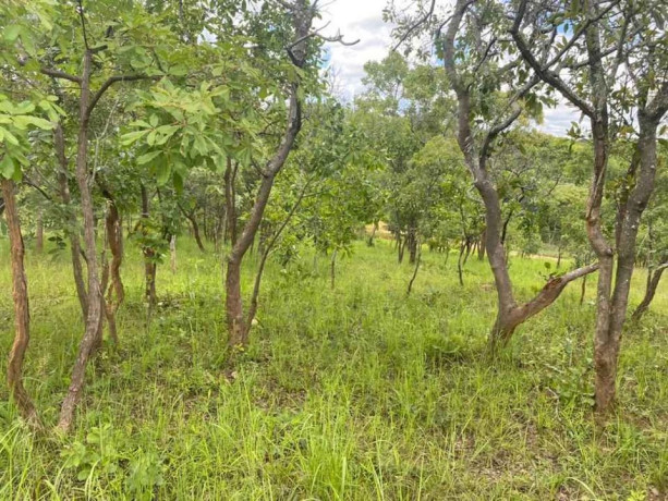 47-acres-land-for-sale-in-chalala-big-0