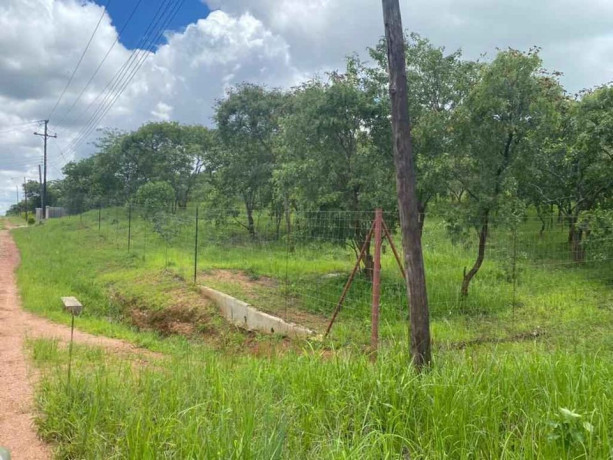 47-acres-land-for-sale-in-chalala-big-5